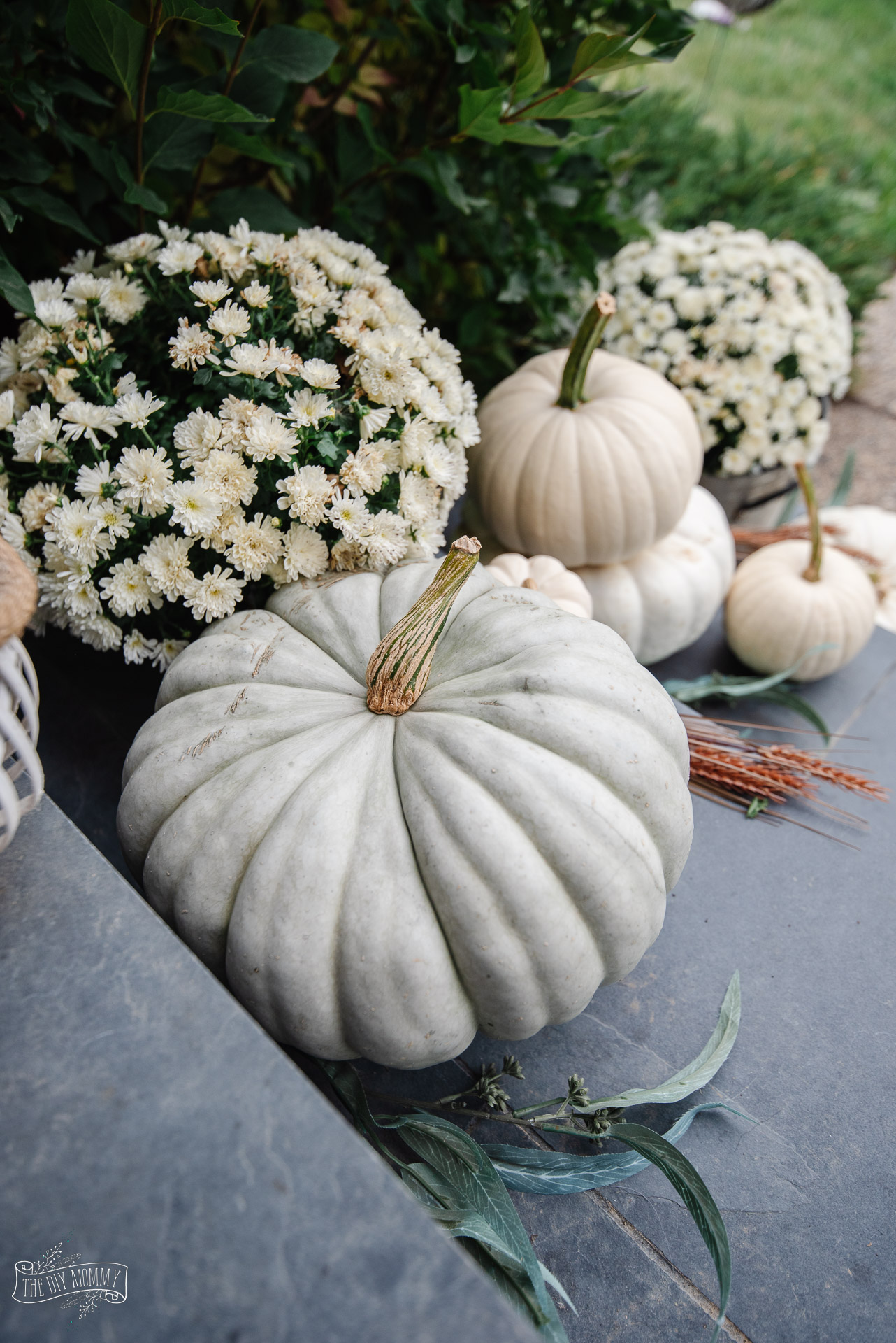 How to Make Pumpkins Last Longer with Vinegar - Cozy DIY Home